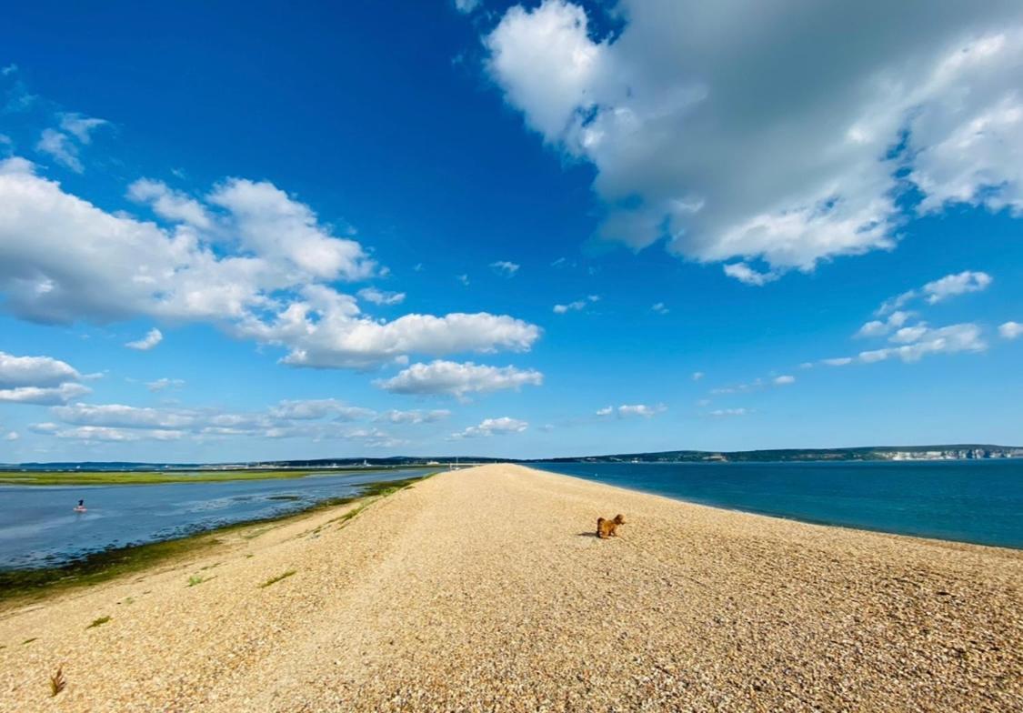 Little Woodside A Beautiful New Forest Self Contained Private Luxury Annexe New Milton Eksteriør bilde
