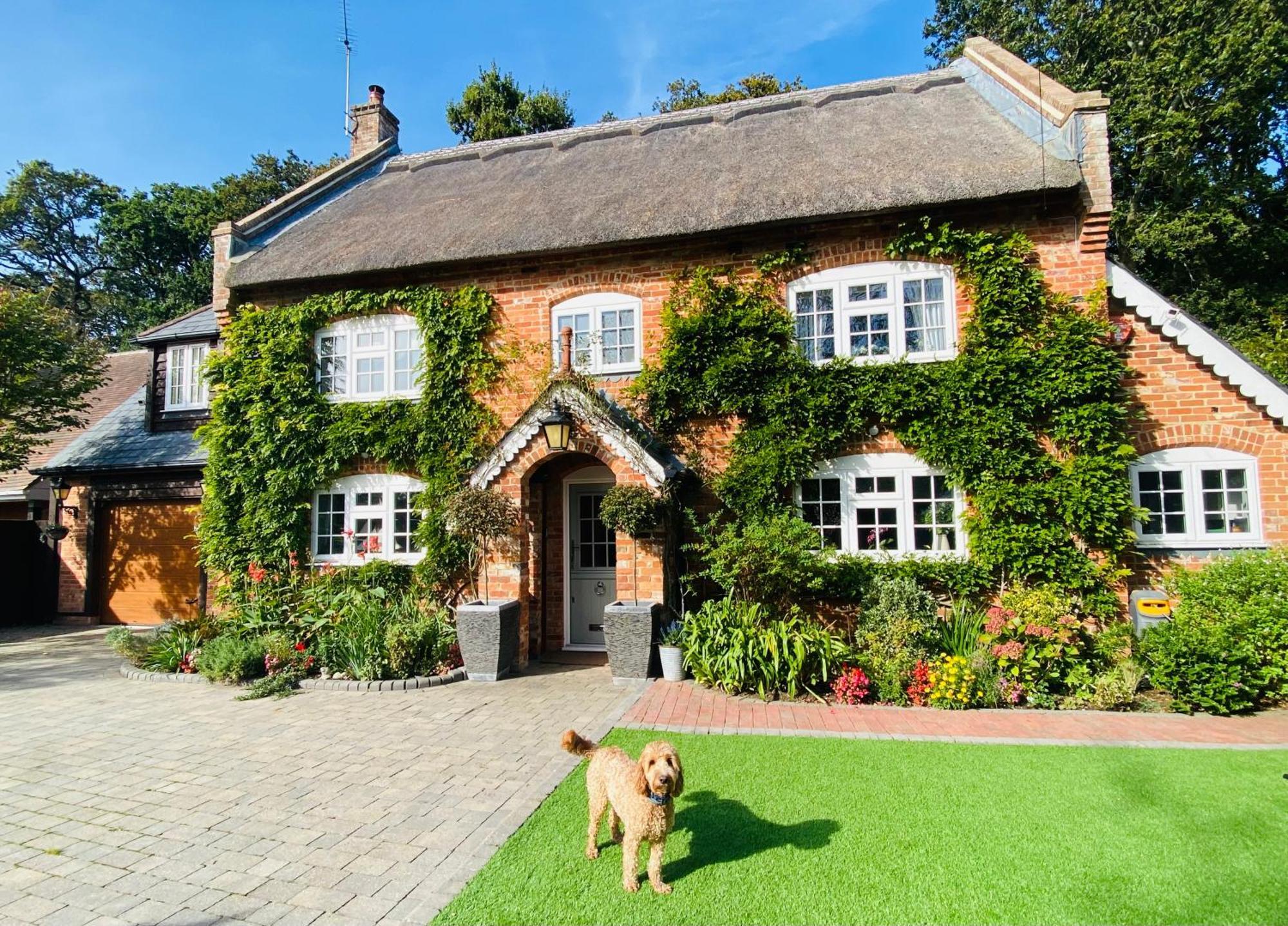 Little Woodside A Beautiful New Forest Self Contained Private Luxury Annexe New Milton Eksteriør bilde