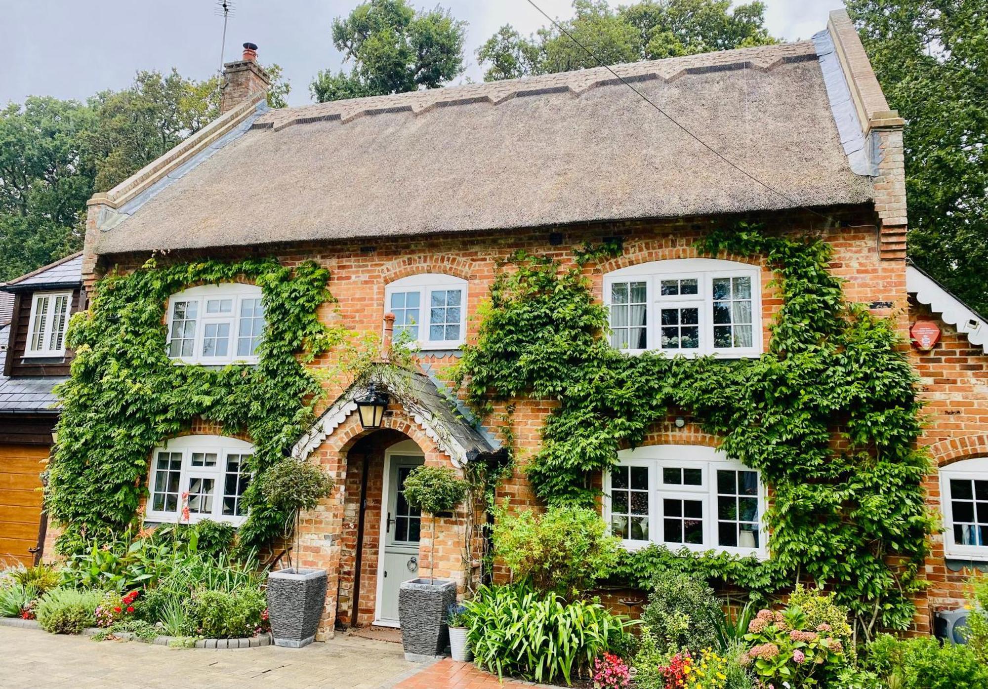 Little Woodside A Beautiful New Forest Self Contained Private Luxury Annexe New Milton Eksteriør bilde