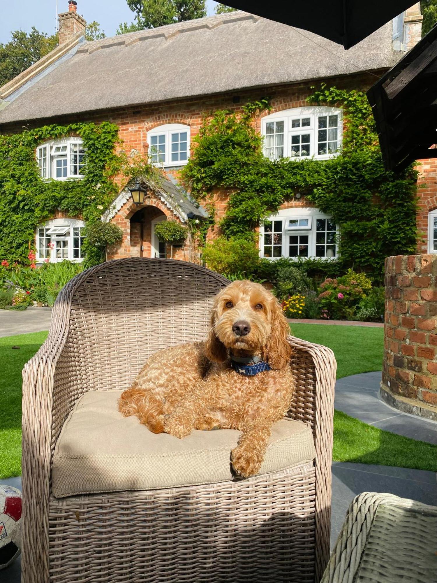 Little Woodside A Beautiful New Forest Self Contained Private Luxury Annexe New Milton Eksteriør bilde