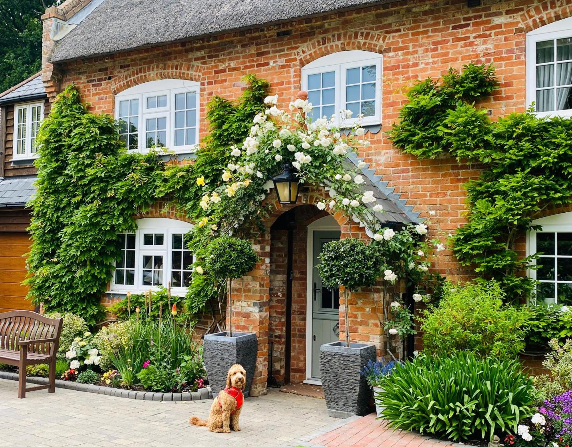 Little Woodside A Beautiful New Forest Self Contained Private Luxury Annexe New Milton Eksteriør bilde