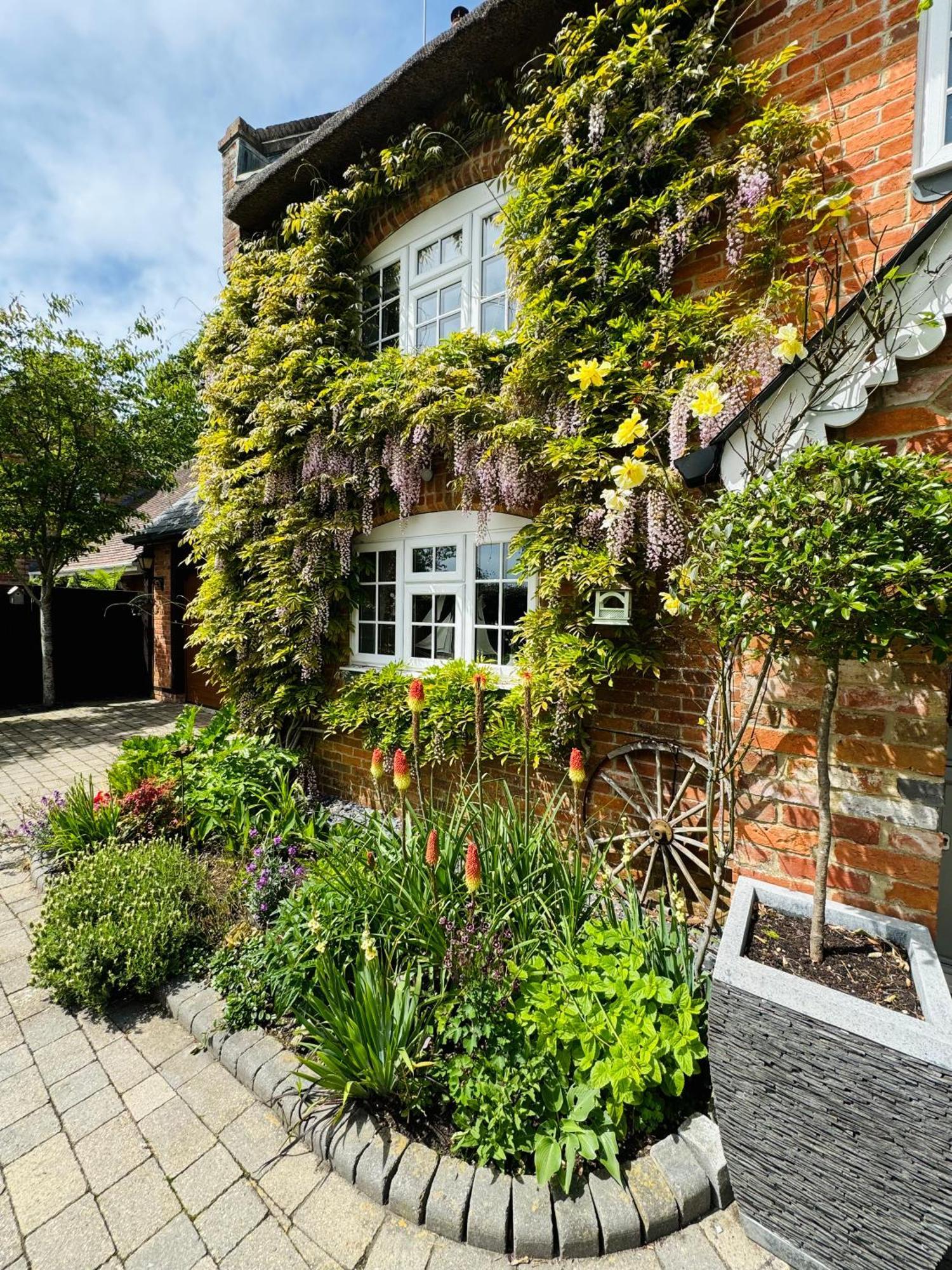 Little Woodside A Beautiful New Forest Self Contained Private Luxury Annexe New Milton Eksteriør bilde